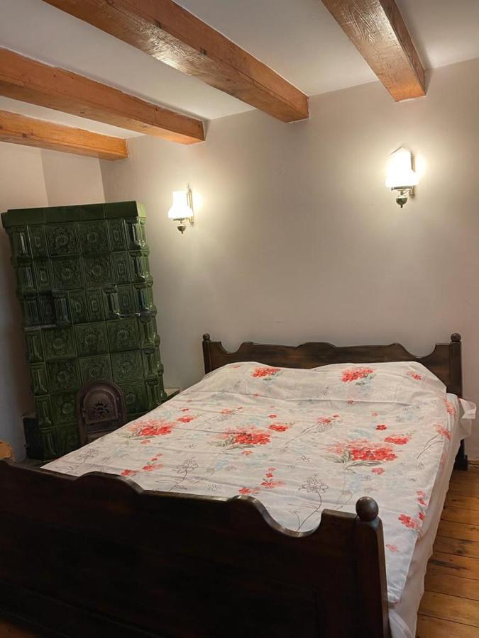 Вілла Casa Adelina Valea Lunga-Cricov Екстер'єр фото