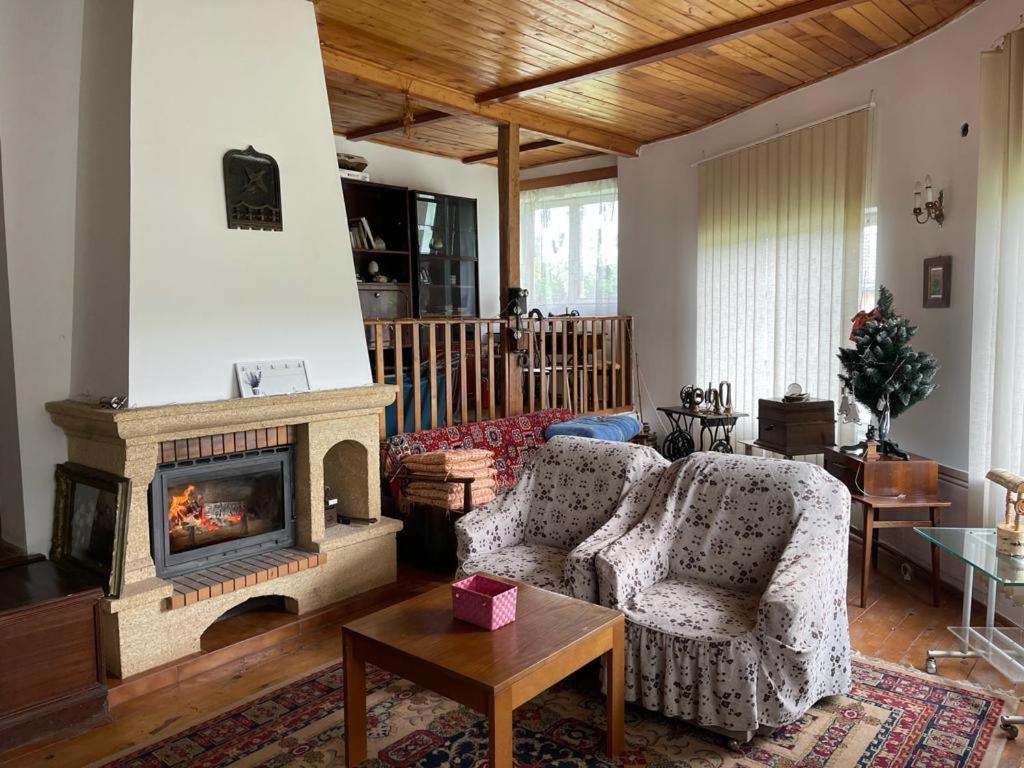 Вілла Casa Adelina Valea Lunga-Cricov Екстер'єр фото