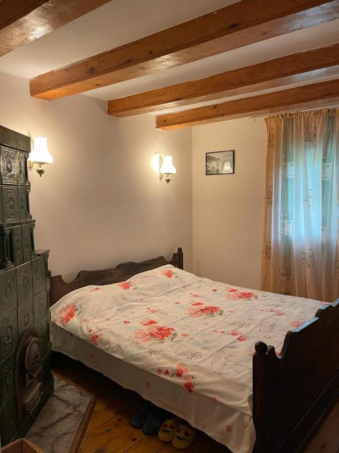 Вілла Casa Adelina Valea Lunga-Cricov Екстер'єр фото