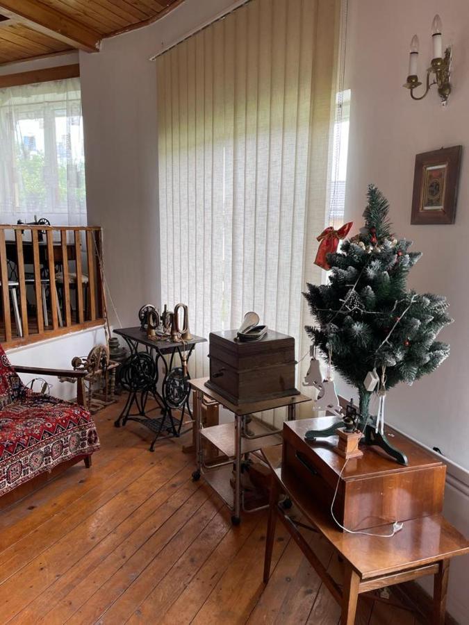 Вілла Casa Adelina Valea Lunga-Cricov Екстер'єр фото