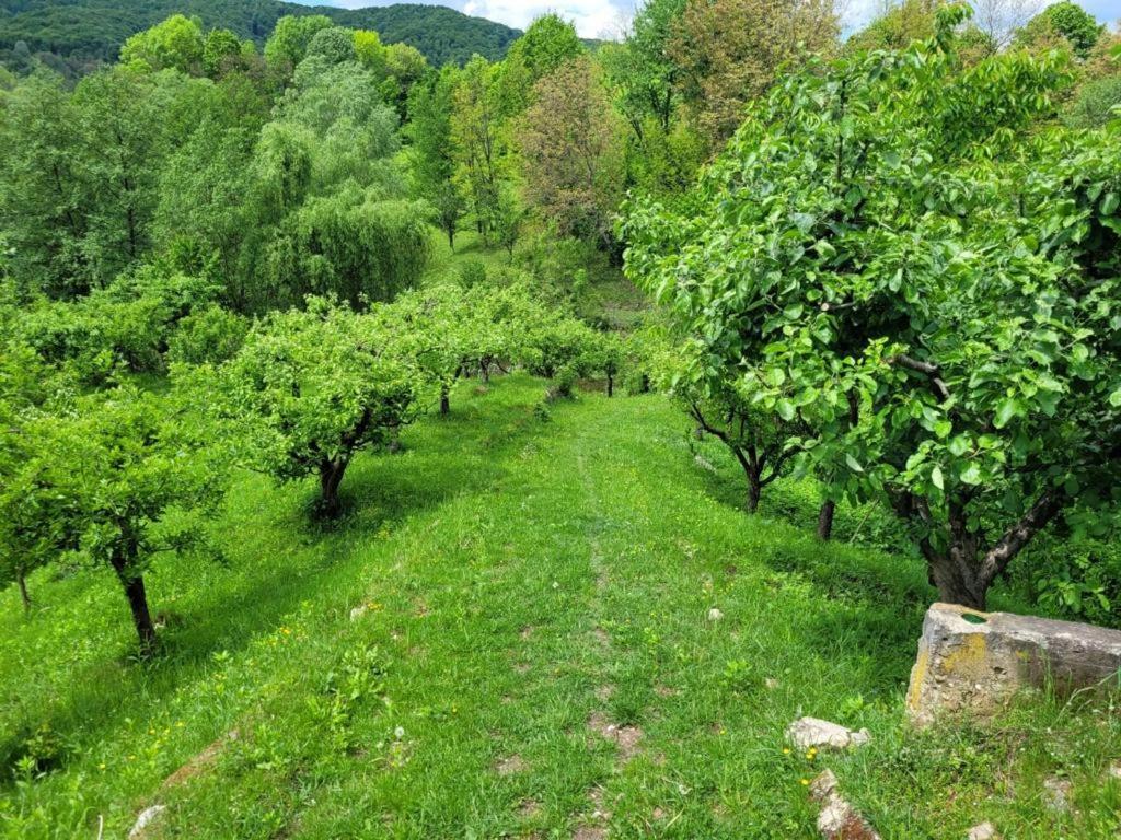 Вілла Casa Adelina Valea Lunga-Cricov Екстер'єр фото