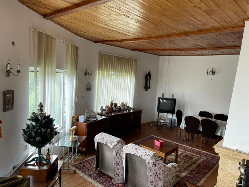 Вілла Casa Adelina Valea Lunga-Cricov Екстер'єр фото