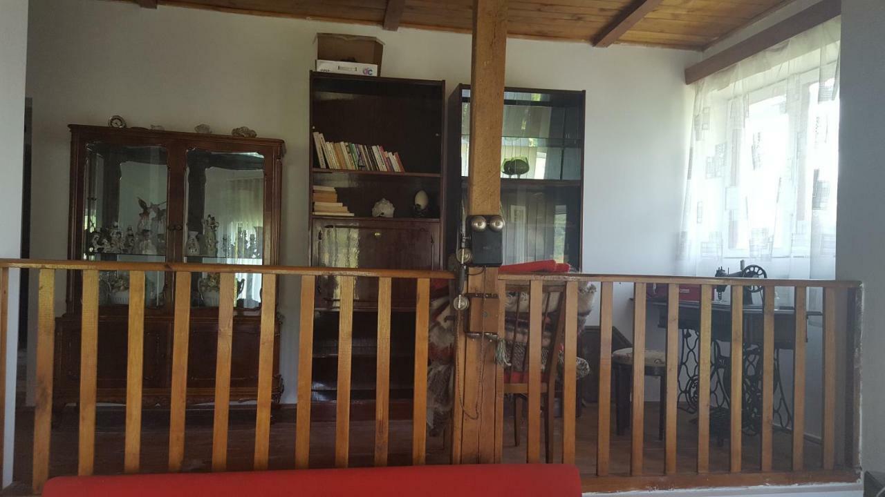 Вілла Casa Adelina Valea Lunga-Cricov Екстер'єр фото