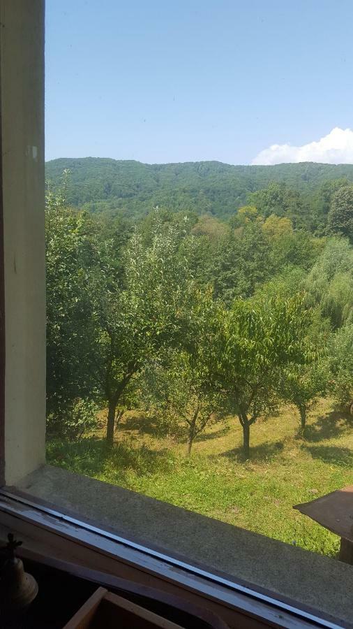 Вілла Casa Adelina Valea Lunga-Cricov Екстер'єр фото